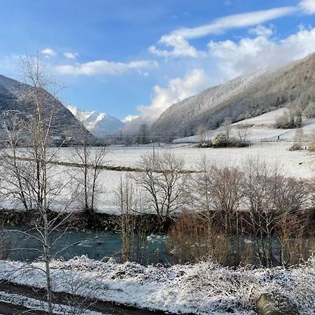 Entre Montagne Et Riviere Apartman Arreau Kültér fotó